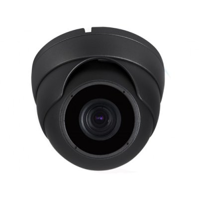 2.4MP (1080P) Starlight Color Night Vision Dome Camera (Grey)