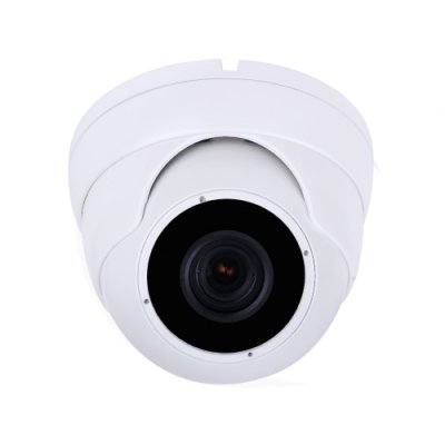 2.4MP (1080P) Starlight Color Night Vision Dome Camera (White)