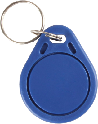 IC KEY CHAIN