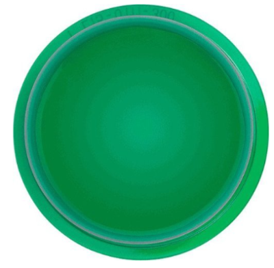 System Sensor LENS-GC2 L-Series Lens for any Indoor Ceiling Mount Strobes, Green