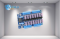 16 Output Power Dist Module; 16 Fuse Protected Outputs; AC Or DC Dual Inputs