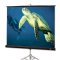 213005 Draper Diplomat Portable Projection Screen 72" x 96", Matt White XT1000E