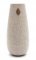 Bush Baby 3 Air Freshener with Covert 720p Camera
