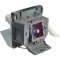 5J.J2D05.011 BenQ Replacement Lamp for SP920P