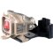 5J.J2H01.001 BenQ Projector Replacement Lamp for PB8263 Projector