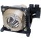 60.J2104.CG1 BenQ Projector Replacement Lamp for PE7800 and PE8700 Projectors