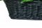 Bush Baby Fern Covert Camera with Wi-Fi