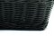 Bush Baby Fern Covert Camera with Wi-Fi