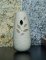 Bush Baby Air Freshener with Covert Camera (30-Hour Battery)