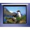 800001 Draper AccuScreens Electric Screen 49" x 87"