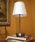 Bush Baby Wi-Fi Lamp with Covert Camera