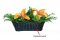 Bush Baby Fern Covert Camera with Wi-Fi
