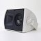 AW-500 65-Watt All-Weather Outdoor Speaker