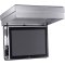 DGCA42S Chief 42" Environmental Enclosure with Heating/Cooling