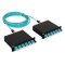ICHPSFCC Fiber Optic MPO Cassette-to-Cassette 