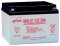 NP24-12 12V / 24Ah Electric Vehicle VRLA Battery - R Terminal