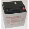 NPX-100BFR 12 Volt/100 Watts pre Cell Sealed Lead Acid Battery with Nut/Bolt Terminal - Flame Ret...