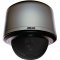 SD4N23-PG-0 Spectra® IV IP SL 23X PENDANT GREY SMOKE PAL
