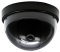 ** EASY SETUP ** 2 Channel DVR Kit with Remote view via MAC Apple Safari or Windows IE (Includes ...