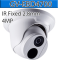 8 Ch 4K GeoVision H.265 DVR with 8 PoE Dome Cameras (2-Way Audio & Panoramic PTZ Options Availabl...