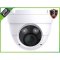 2MP HD IP Starlight IR Eyeball Dome Camera