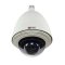39 CAMERA LICENSES