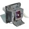 5J.J2D05.011 BenQ Replacement Lamp for SP920P