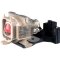 5J.J2H01.001 BenQ Projector Replacement Lamp for PB8263 Projector