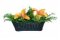 Bush Baby Fern Covert Camera with Wi-Fi