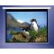 800001 Draper AccuScreens Electric Screen 49" x 87"