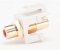 DC-KIRCAG-R-10 RCA Adapter, Female To Female, Gold Plated, Red Band - 10 Pack Qty