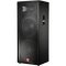 DUAL 15 2 WAY SPEAKER SYS