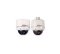V5642-A5004PE Analog minidome camera, 1/3 inch CCD, Vandal-resistant, 3-axis, w/ Heater&Blower, D...