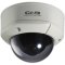 CNB-V1315NVD 1/3 Inch SONY Super HAD CCD 550TVL 4-9mm Lens Dual Voltage Vandal Proof Dome Camera