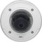 P3364LVE/ 1MP/ VANDOM/ IR/ IP66
