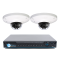 4 Ch NVR & 2 HD Megapixel Vandal Dome (1MP & 3MP Options) Kit for Business Professional Grade 