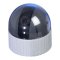 Motorized Pan Tilt Color Dome Camera with 3x Digital Zoom
